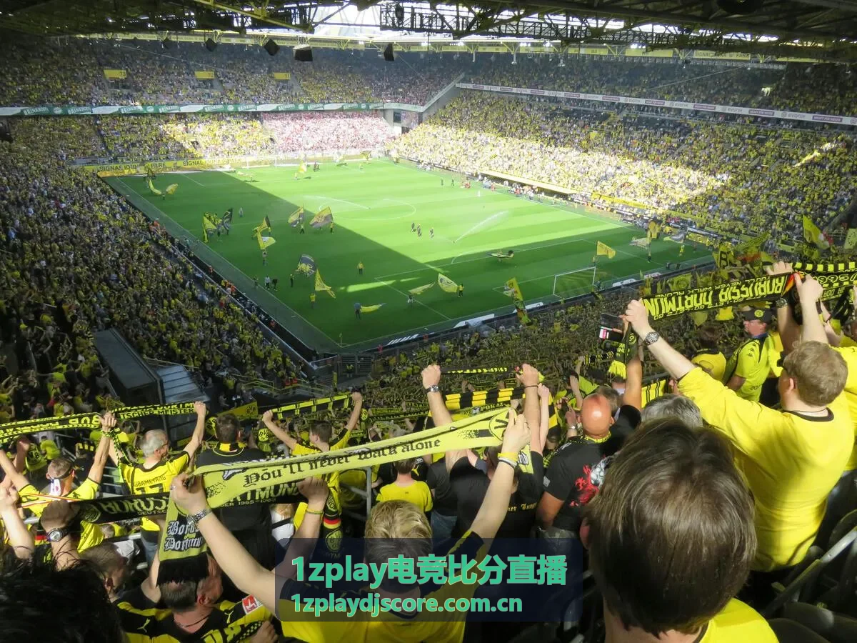 1zplay电竞比分直播选手分均输出对比图