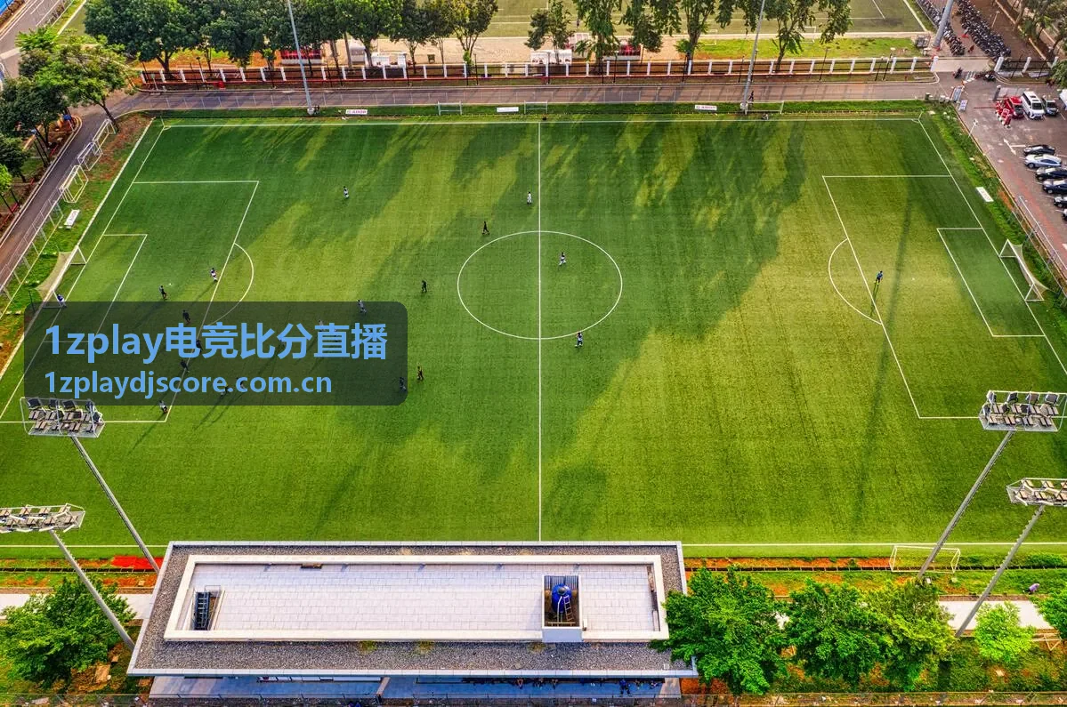 1zplay电竞比分直播电竞赛程项目分布